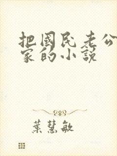 把国民老公带回家的小说