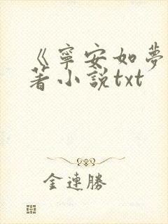 《宁安如梦》原著小说txt封面