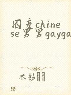 国产chinese男男gaygay视频网站