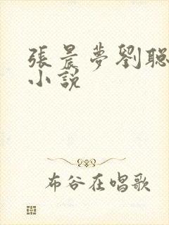 张晨梦刘聪赵兰小说封面