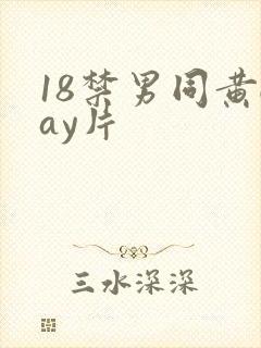 18禁男同黄gay片