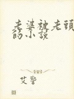 老婆被老头夺走的小说封面