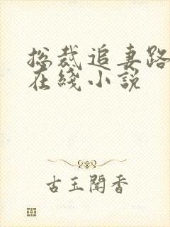 总裁追妻路漫漫在线小说