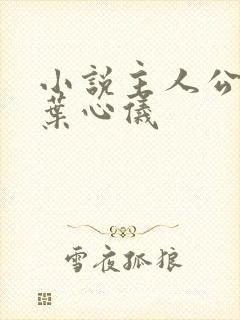 小说主人公乔梁叶心仪封面