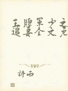 王牌军少之特战追妻全文免费txt