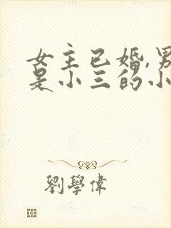 女主已婚,男主是小三的小说