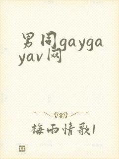 男同gaygayav网