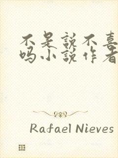 不是说不喜欢我吗小说作者bubble封面