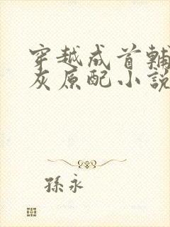 穿越成首辅的炮灰原配小说免费阅读封面