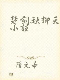 楚剑秋柳天瑶 小说