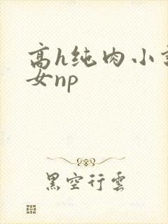 高h纯肉小说男女np