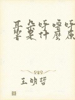 耳朵呼噜呼噜的响是什么原因