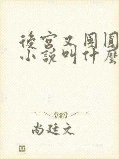 后宫又团圆原著小说叫什么名字封面