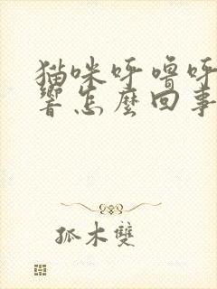 猫咪呼噜呼噜的响怎么回事封面