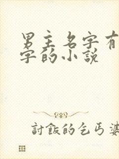 男主名字有个湛字的小说