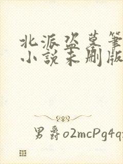 北派盗墓笔记 小说未删版全文