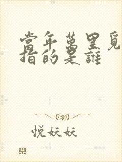 当年万里觅封侯指的是谁封面