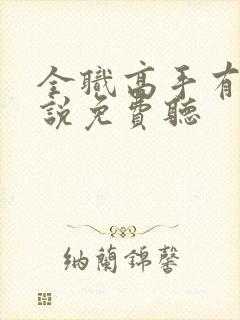 全职高手有声小说免费听