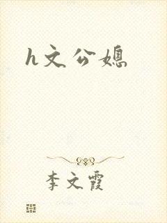 h文公媳