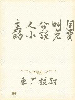 主人公叫周轻羽的小说免费阅读