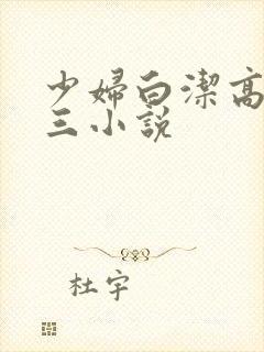 少妇白洁高义陈三小说