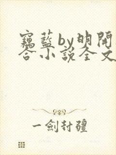 窃蓝by明开夜合小说全文免费阅读