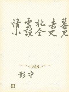 情云北去慕星辰小说全文免费阅读