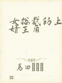 女总裁的上门女婿主角