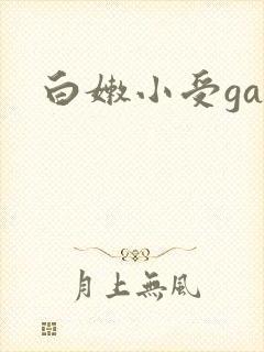 白嫩小受gay