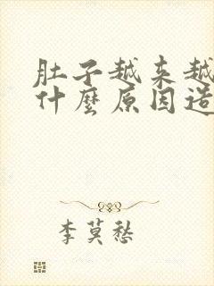 肚子越来越胖是什么原因造成的