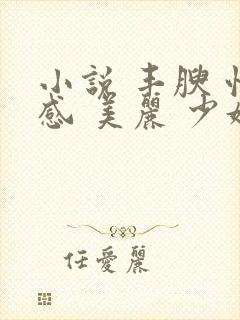 小说 丰腴 性感 美丽 少妇