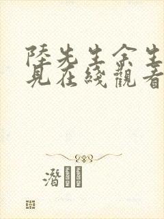 陆先生余生不再见在线观看