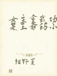 女主会武功男主是王爷的小说封面