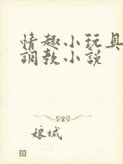 情趣小玩具暴露调教小说