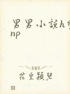 男男小说h双性np封面