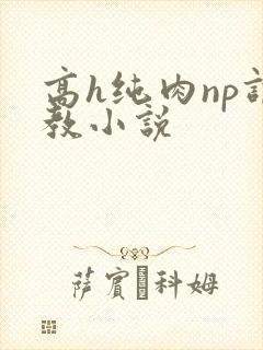 高h纯肉np调教小说封面