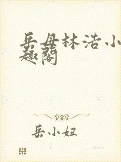 岳母林浩小说笔趣阁封面