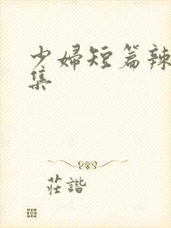 少妇短篇辣文合集