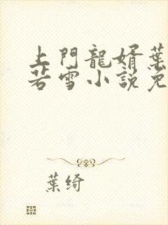 上门龙婿叶凡唐若雪小说免费阅读封面