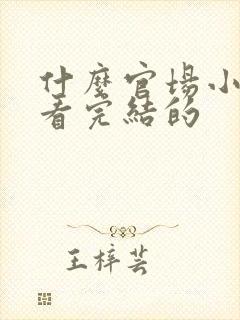 什么官场小说好看完结的封面