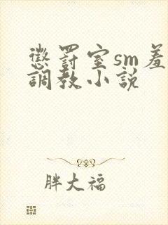 惩罚室sm羞刑调教小说