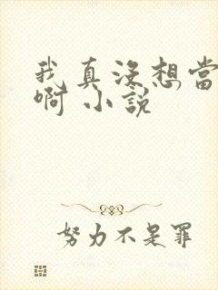 我真没想当皇帝啊 小说