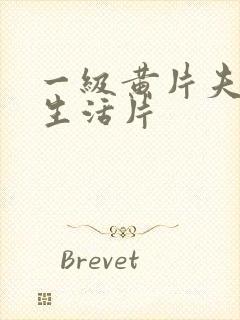 一级黄片夫妻性生活片