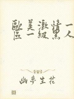 欧美激情一区二区一级黑人片