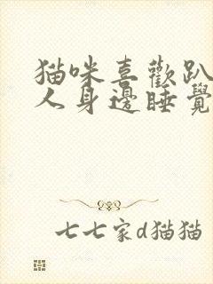 猫咪喜欢趴在主人身边睡觉说明什么封面