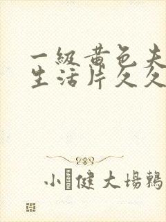 一级黄色夫妻性生活片久久