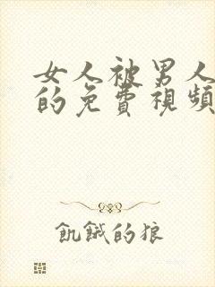 女人被男人插爽的免费视频