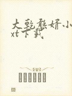 大乾憨婿小说txt下载