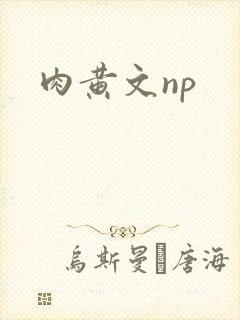肉黄文np