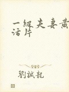 一级夫妻黄色生活片